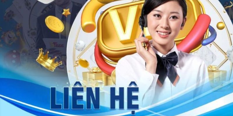 Lý do vì sao nên liên hệ ST666 để được hỗ trợ